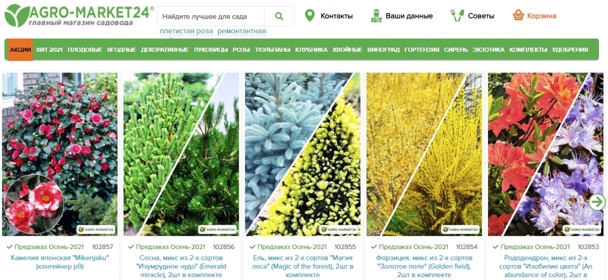 agro market24 - крупный интернет магазин саженцев плодовых и декоративных деревьев
